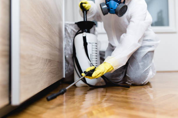 Best Affordable Pest Control Services  in Jamestown West, NY