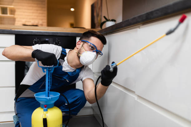 Wasp Removal Services in Jamestown West, NY