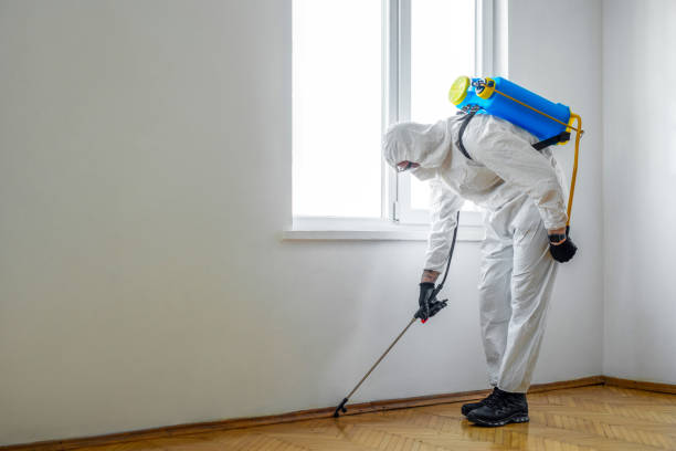 Best Pest Prevention Services  in Jamestown West, NY