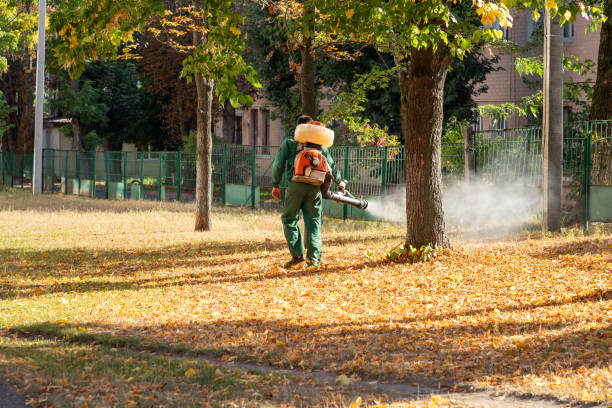 Best Best Pest Control Companies  in Jamestown West, NY