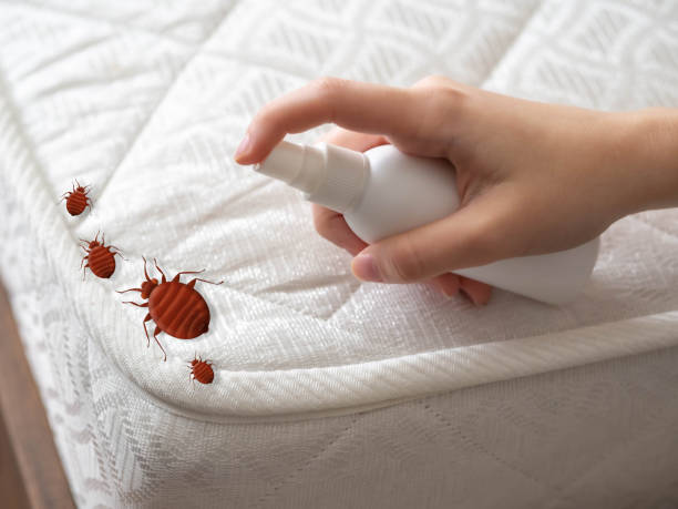 Best Insect Control  in Jamestown West, NY