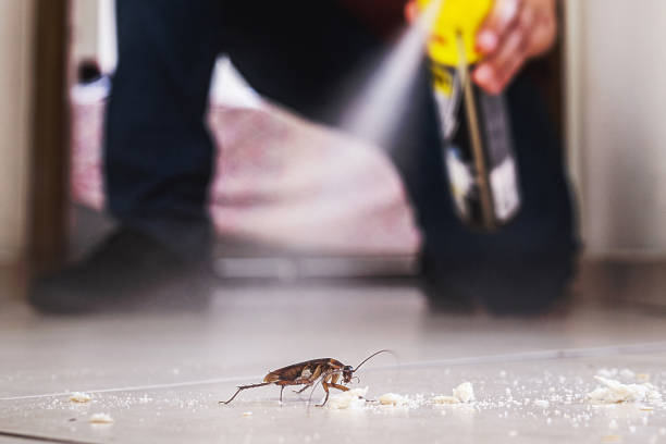 Best Commercial Pest Control Services  in Jamestown West, NY
