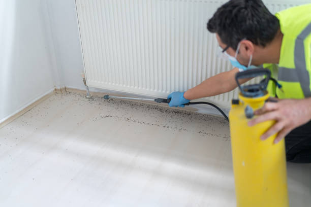 Best Exterminator Services  in Jamestown West, NY