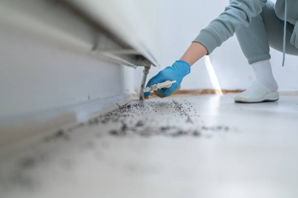 Best Pest Inspection Near Me  in Jamestown West, NY