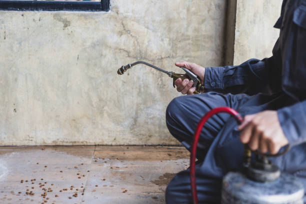 Best Wasp Removal Services  in Jamestown West, NY