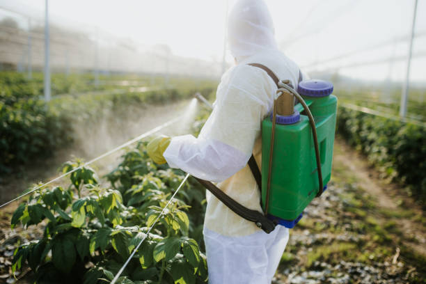 Best Bed Bug Extermination  in Jamestown West, NY
